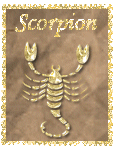 scorpion